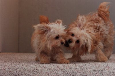 Dec7_06_026.JPG