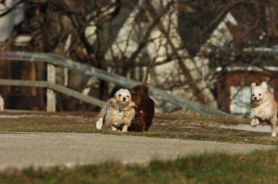 Dec9_06_407.JPG