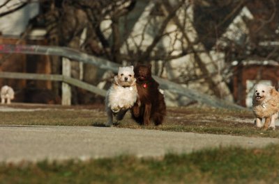 Dec9_06_408.JPG