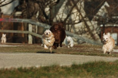 Dec9_06_409.JPG