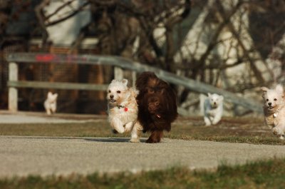Dec9_06_411.JPG