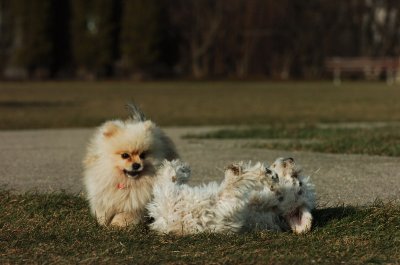 Dec9_06_449.JPG