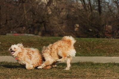 Dec9_06_503.JPG