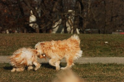 Dec9_06_504.JPG