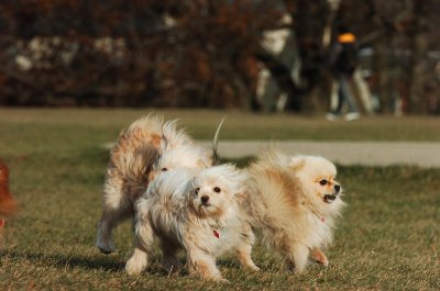 Dec9_06_368.JPG