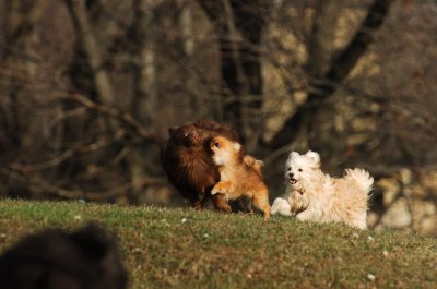Dec9_06_393.JPG