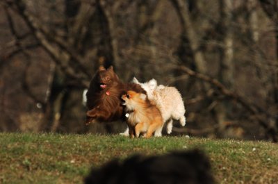 Dec9_06_396.JPG