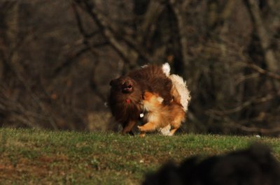 Dec9_06_397.JPG