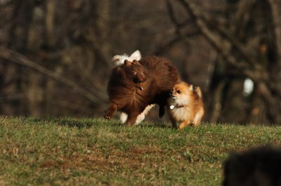 Dec9_06_399.JPG