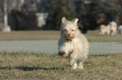 Dec20_06_216.JPG