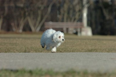 Dec20_06_217.JPG