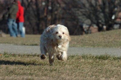 Dec20_06_236.JPG
