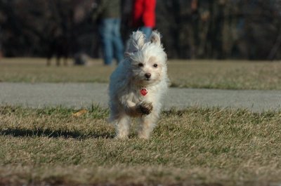 Dec20_06_239.JPG
