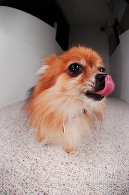 Dec21_06_365.JPG