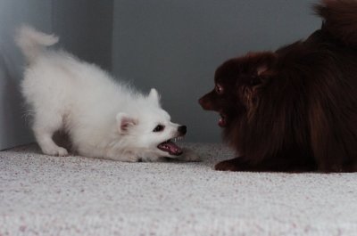 Dec30_06_338.JPG