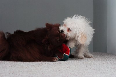 Dec30_06_401.JPG