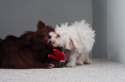 Dec30_06_402.JPG