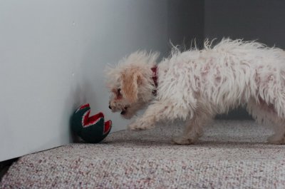 Dec30_06_415.JPG