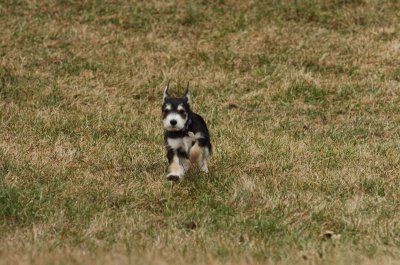Jan7_07_329.JPG