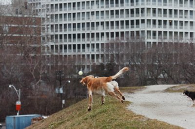 Jan7_07_360.JPG
