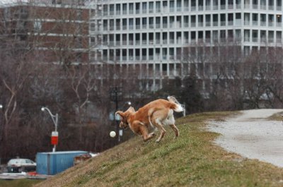 Jan7_07_361.JPG