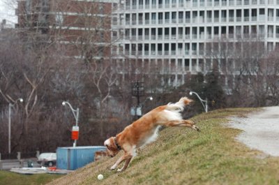 Jan7_07_362.JPG