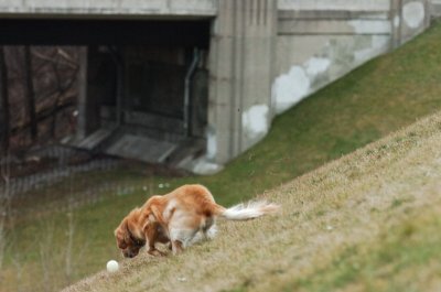 Jan7_07_365.JPG