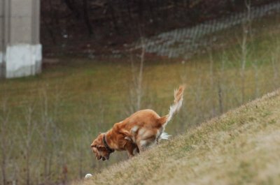 Jan7_07_369.JPG