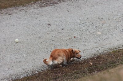 Jan7_07_373.JPG