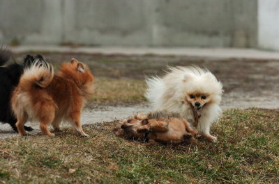 Jan7_07_220.JPG