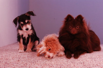 Jan10_07_087.JPG