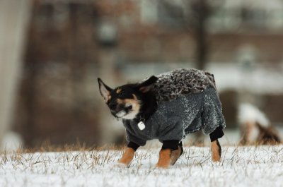 Jan22_07_510.JPG