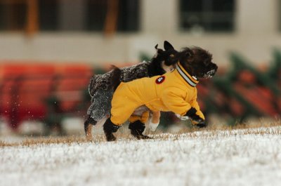 Jan22_07_518.JPG