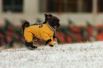 Jan22_07_520.JPG