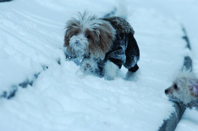 Jan22_07_001.JPG
