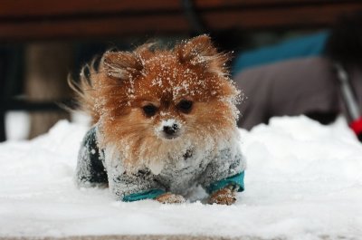 Jan22_07_013.JPG