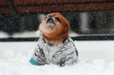 Jan22_07_015.JPG