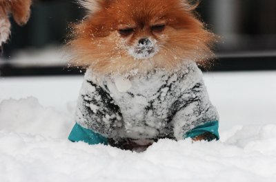 Jan22_07_020.JPG