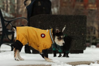 Jan22_07_030.JPG