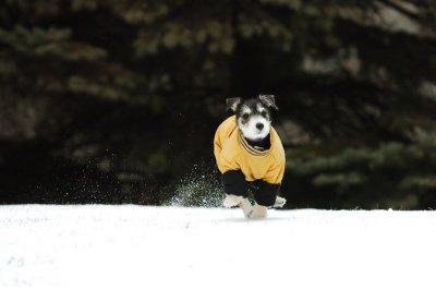 Jan22_07_040.JPG