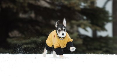 Jan22_07_041.JPG