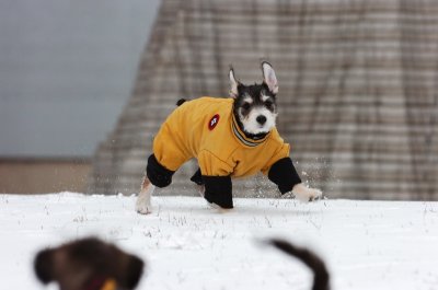 Jan22_07_045.JPG