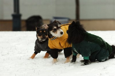 Jan22_07_061.JPG