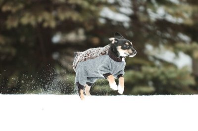 Jan22_07_077.JPG