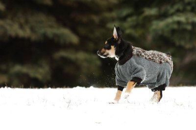 Jan22_07_080.JPG