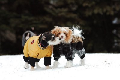 Jan22_07_090.JPG