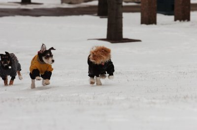 Jan22_07_093.JPG