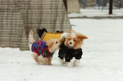 Jan22_07_100.JPG
