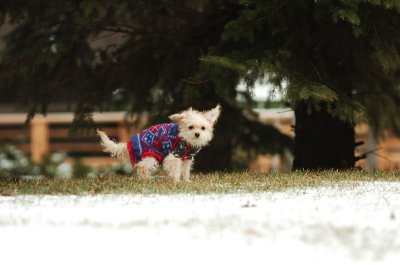 Jan22_07_107.JPG