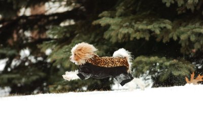 Jan22_07_108.JPG